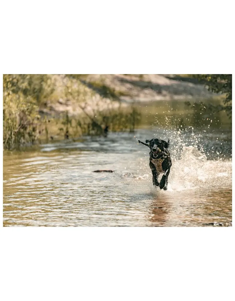 5.11 Tactical Mission Ready Dog Harness