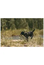 5.11 Tactical Mission Ready Dog Harness