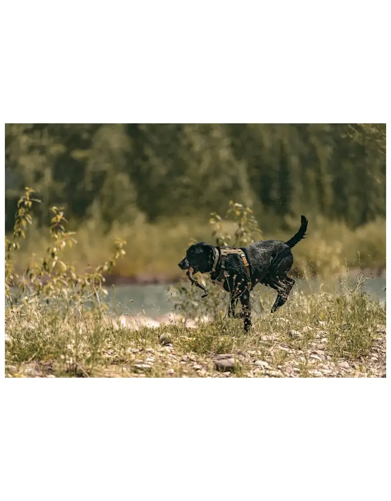 5.11 Tactical Mission Ready Dog Harness