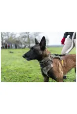 5.11 Tactical Mission Ready Dog Collar