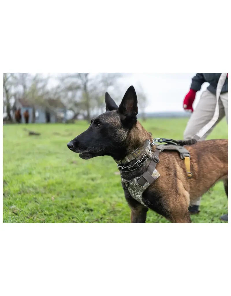 5.11 Tactical Mission Ready Dog Collar