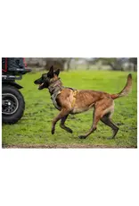 5.11 Tactical Mission Ready Dog Collar