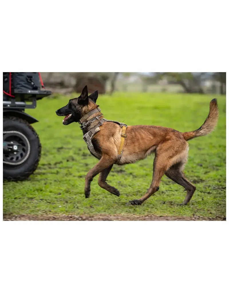 5.11 Tactical Mission Ready Dog Collar