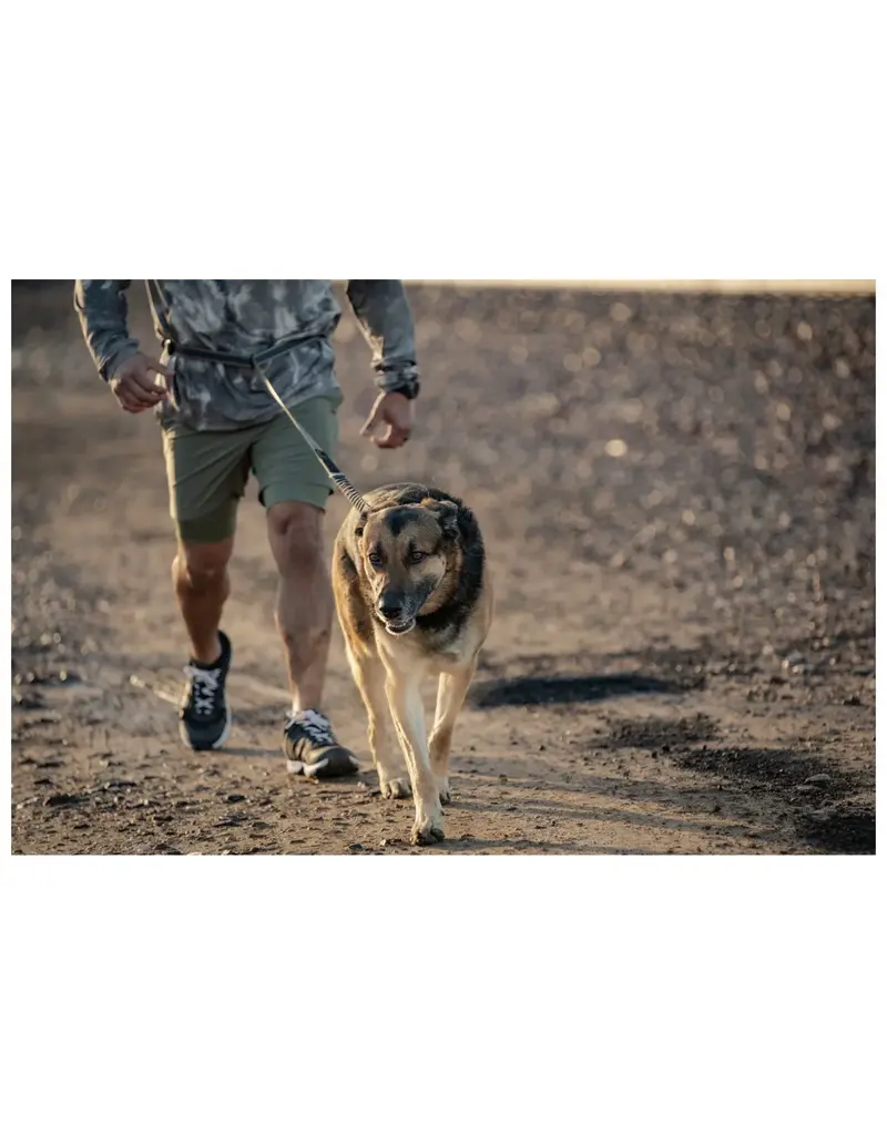 5.11 Tactical Mission Ready Laisse pour chien modulaire