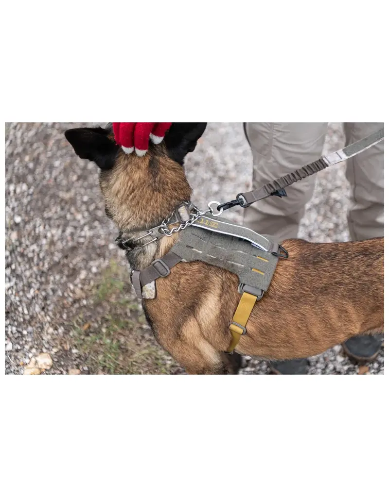 5.11 Tactical Mission Ready Laisse pour chien modulaire