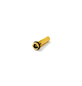 Modify Modify Gas Injection Valve for PP-2K