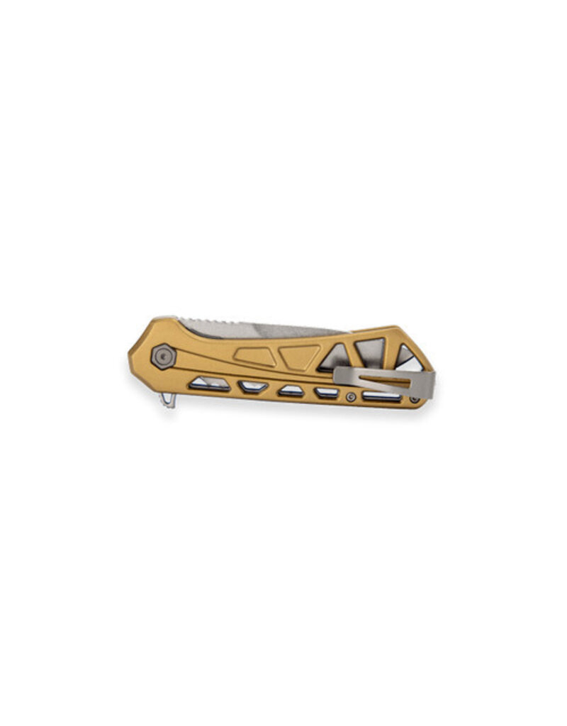 Buck Knives Trace Folder Large Drop Point