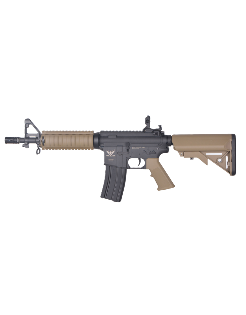 Raven Evolution RIS CQB