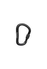 Black Diamond RockLock Screwgate Carabiner