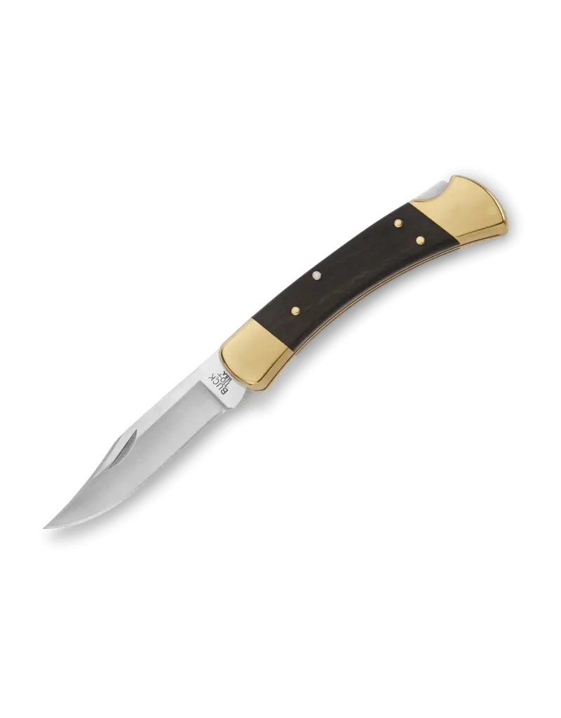 Buck Knives Folding Hunter