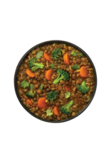 SLY Foods Indian Stew