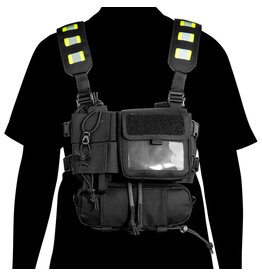 Tasmanian Tiger Security Pro Rig Black