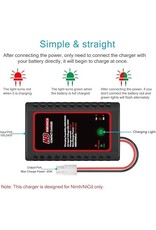 TENRC N8 Charger