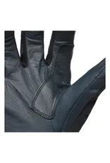 Black Diamond Gants Punisher