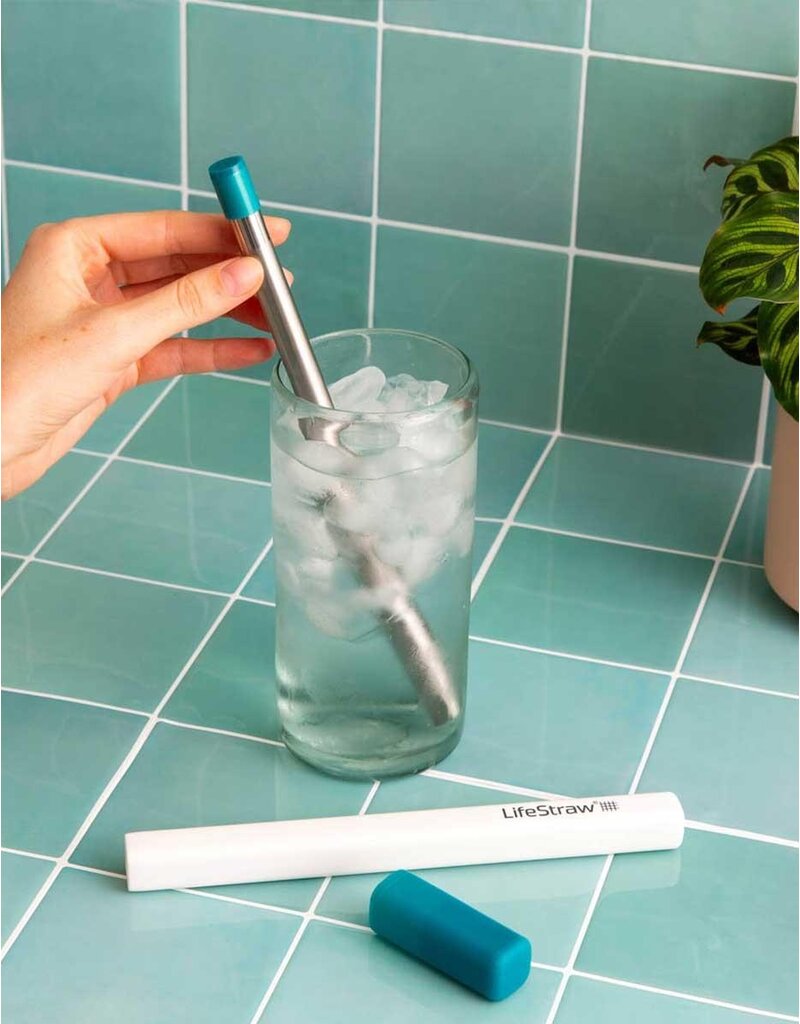LifeStraw SIP 1-Piece Steel Water Filter with Carry Case