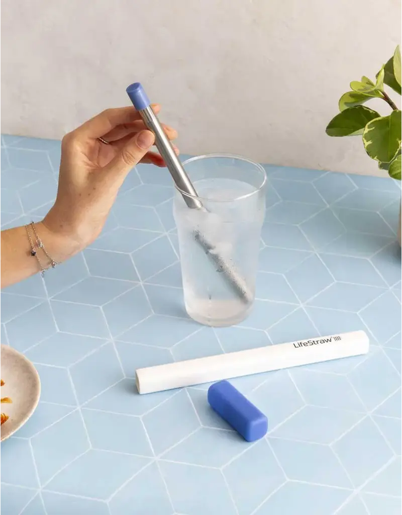 LifeStraw SIP 1-Piece Steel Water Filter with Carry Case