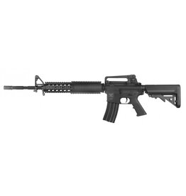 Raven Evolution RIS Rifle