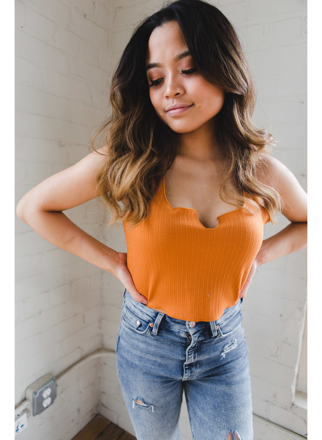 Butter Scotch Ribbed Crop Knit Top