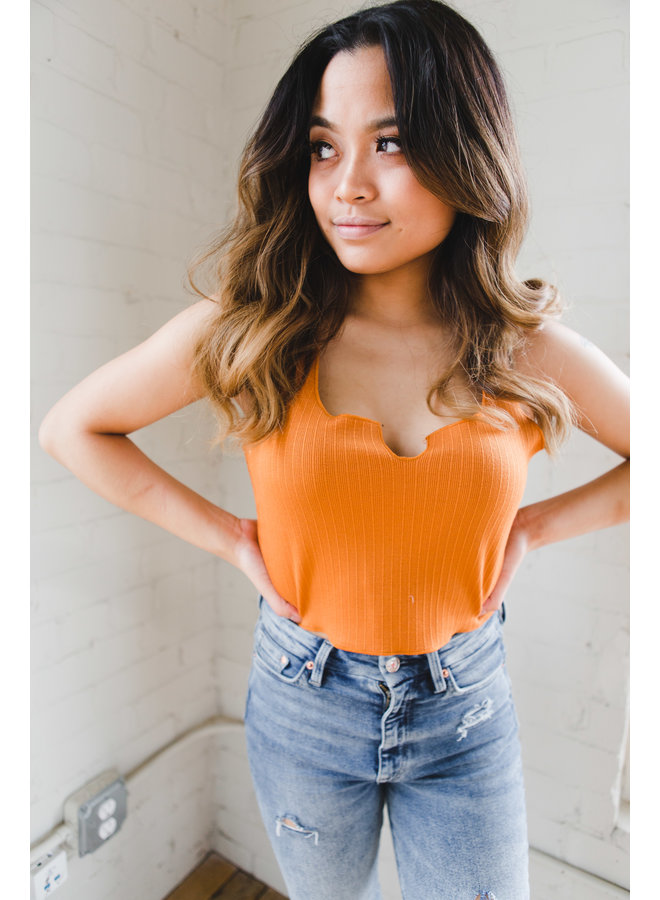 Butter Scotch Ribbed Crop Knit Top