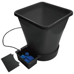 AutoPot