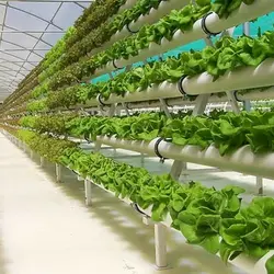 Grow Media