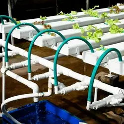 Irrigation