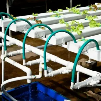 Irrigation