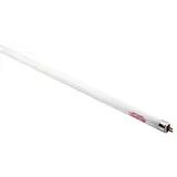 Spectralux Copy of Spectralux T8 32 Watt HO Lamp 4 ft Blue 6500K (25/Cs)