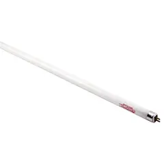 Spectralux Copy of Spectralux T8 32 Watt HO Lamp 4 ft Blue 6500K (25/Cs)