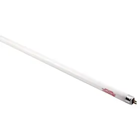 Spectralux Copy of Spectralux T8 32 Watt HO Lamp 4 ft Blue 6500K (25/Cs)