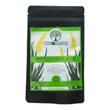  Build-a-Soil Horticultural Aloe 16oz