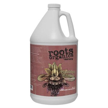 Aurora Innovations Buddha Bloom Gallon