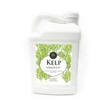  Age Old Kelp 32oz
