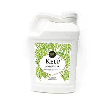  Age Old Kelp 32oz