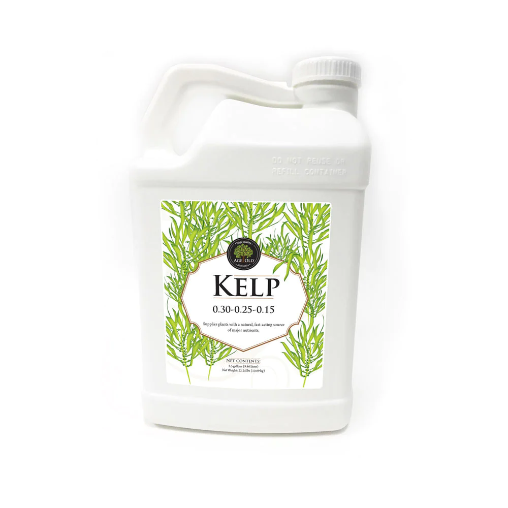 Age Old Kelp 32oz