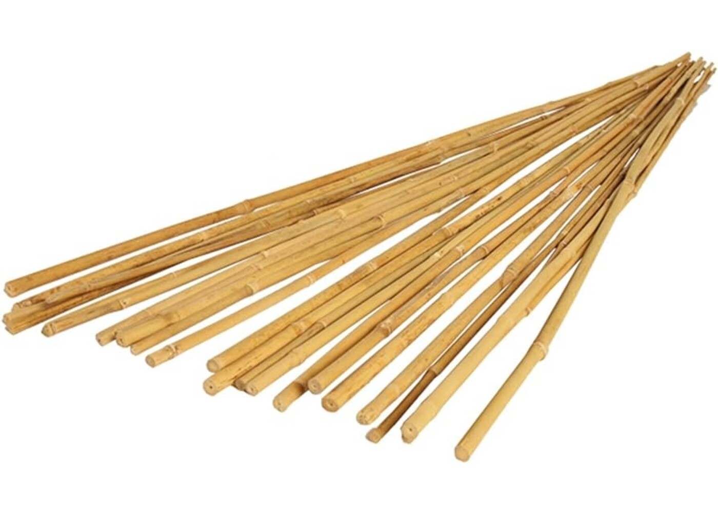 Grow!t Plant !t 4' Bamboo Stake 25/pk