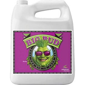 Advanced Nutrients Advanced Nutrients Big Bud ORGANIC 4L