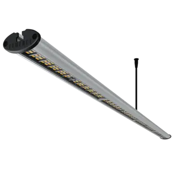  Fluence RAY66 120V w/6' cord PhysioSpec Indoor FIXTURE