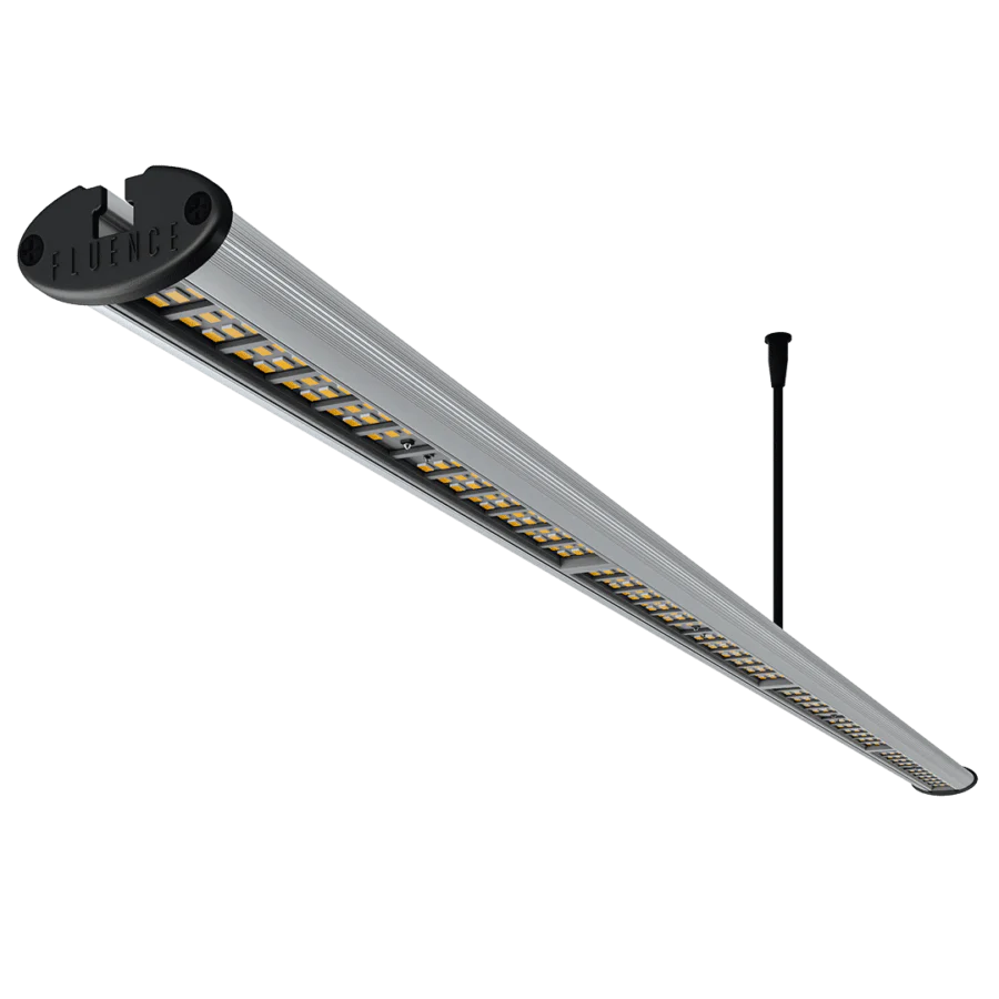 Fluence RAY66 120V w/6' cord PhysioSpec Indoor FIXTURE