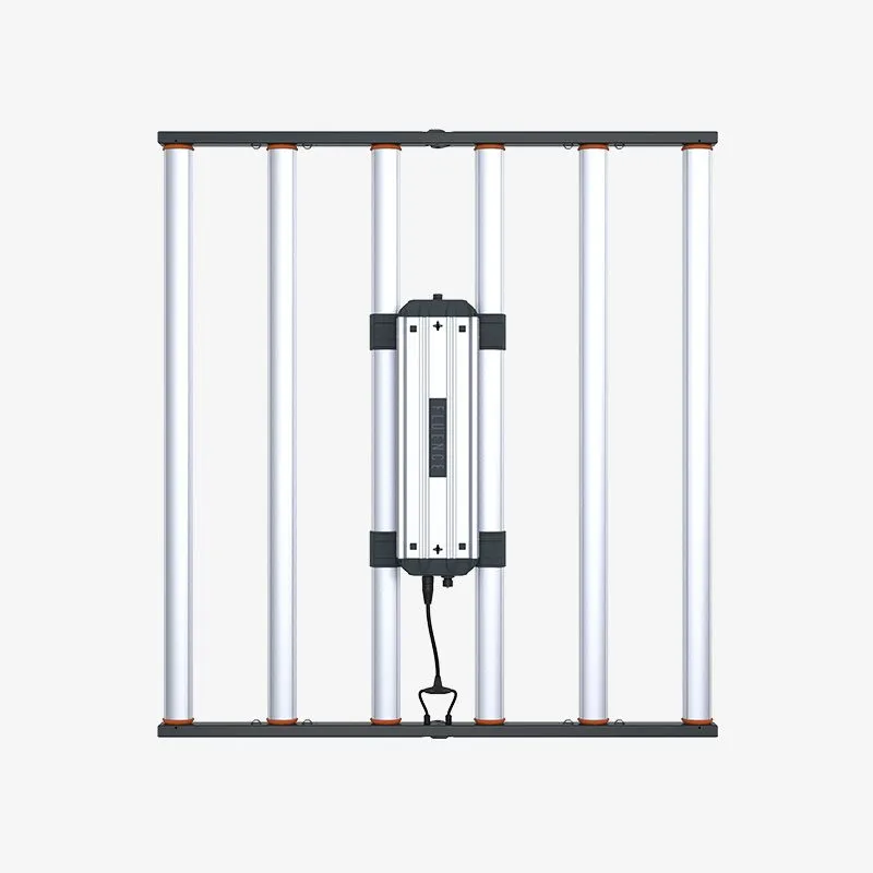 Fluence Spydr 2x 6' 120V Fixture