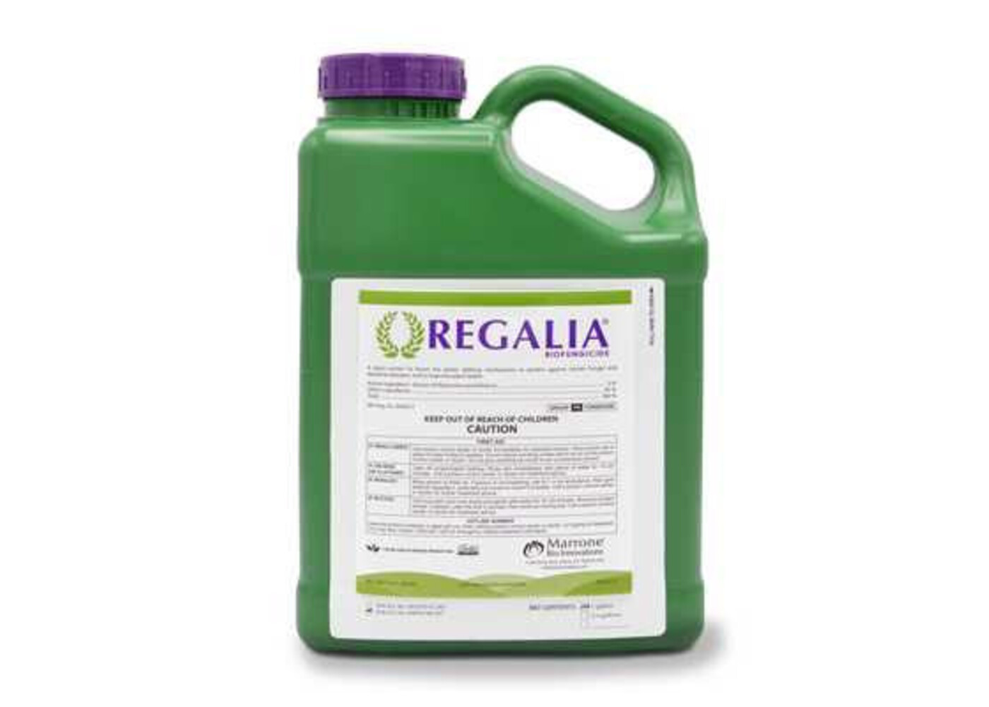 Bio Marrone Innovations Regalia 1qt