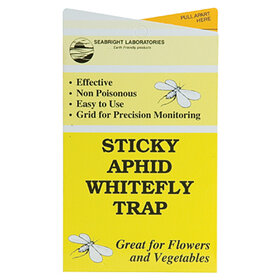 Seabright Sticky Aphid Whitefly Trap Yellow 5/Pack