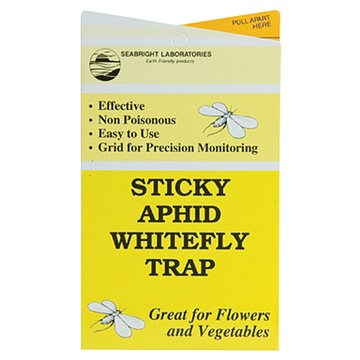 Seabright Sticky Aphid Whitefly Trap Yellow 5/Pack