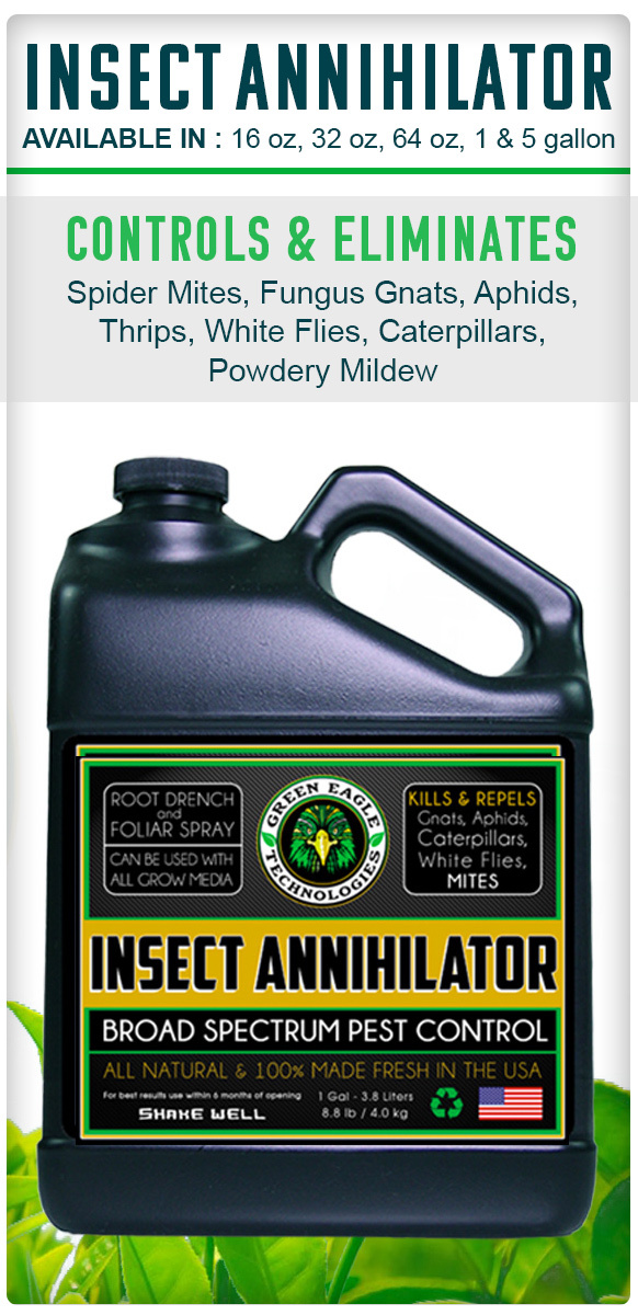 Green Eagle Technologies Insect Annihilator 1 gal