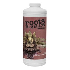 Aurora Innovations Buddha Bloom Quart