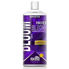  Rx Green Bloom B 1 gal