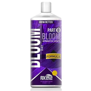  Rx Green Bloom B 1 gal