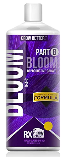 Rx Green Bloom B 1 gal