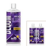  Rx Green Bloom B 1 quart