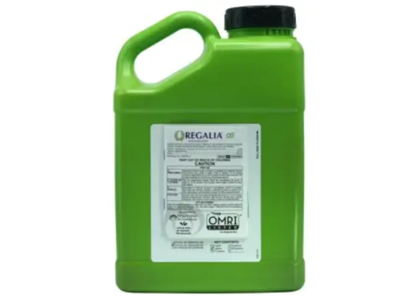 Rx Green Bloom A 1 gal